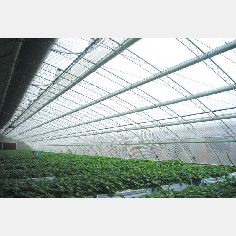 專業構筑，智慧生長 盛騰溫室引領蔬菜大棚現代化建造新風尚